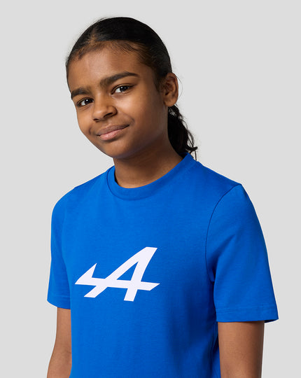 Sweat à Capuche Alpine F1 Team Castore – Bleu Marine, Logo Blanc – Coupe Classique, Poche Kangourou – Pour Fans De Formule 1