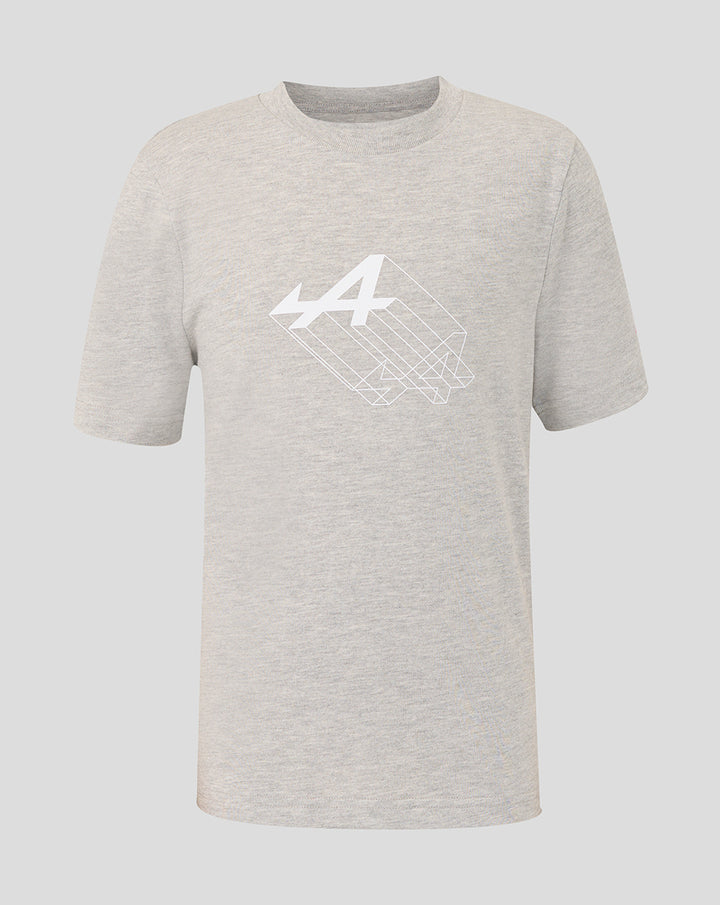 Grey marl junior regular fit graphic T shirt with white chest graphic and rib collar.