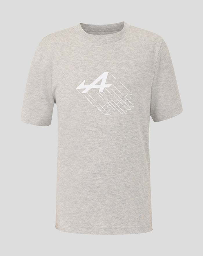 Grey marl junior regular fit graphic T shirt with white chest graphic and rib collar.