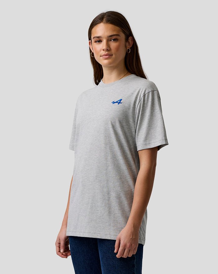 Grey marl unisex regular fit core T shirt with blue embroidered A on the chest and team branding on the upper back
